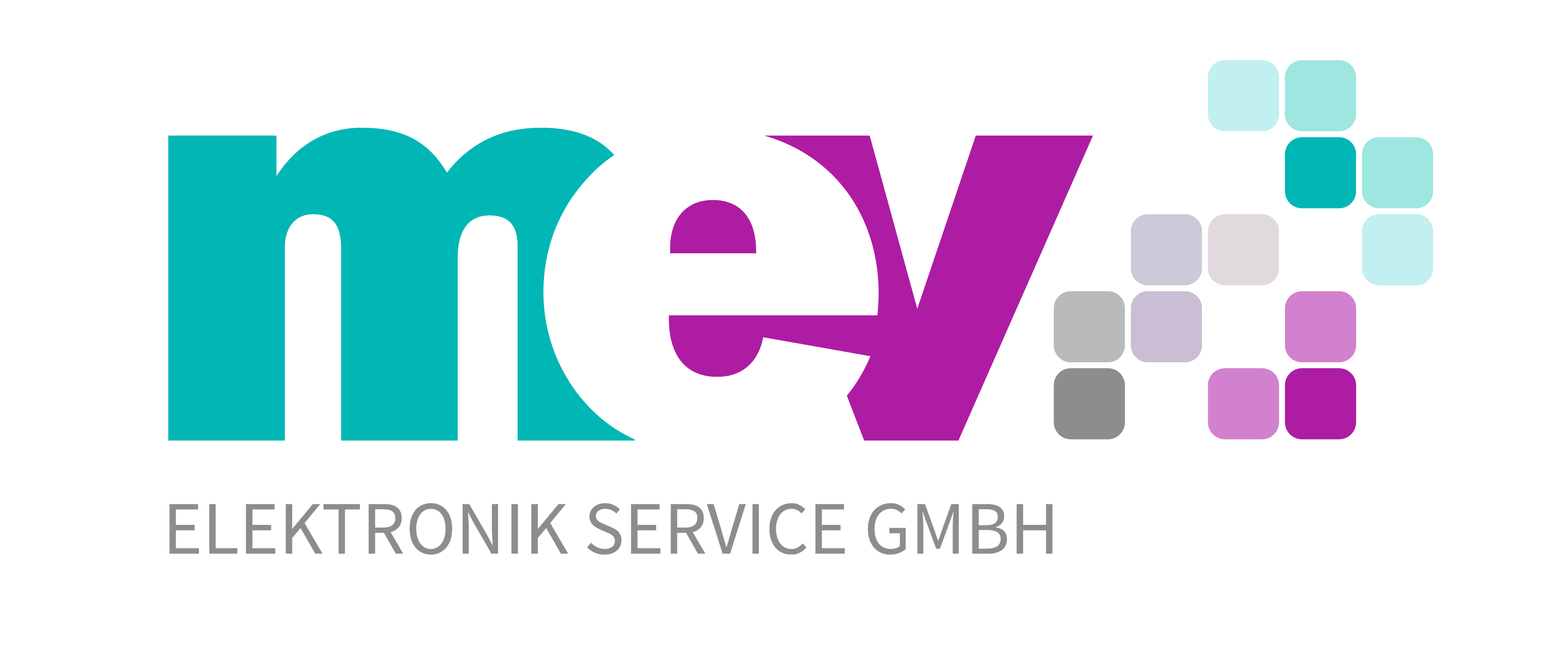 mev logo 4c 01
